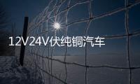 12V24V伏纯铜汽车电瓶充电器通用智能大功率农用车收割电瓶充电机